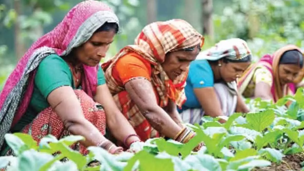 UP Govt Plans Rs 2,500 Cr Push For Natural Farming UP Govt Plans Rs 2,500 Cr Push For Natural Farming