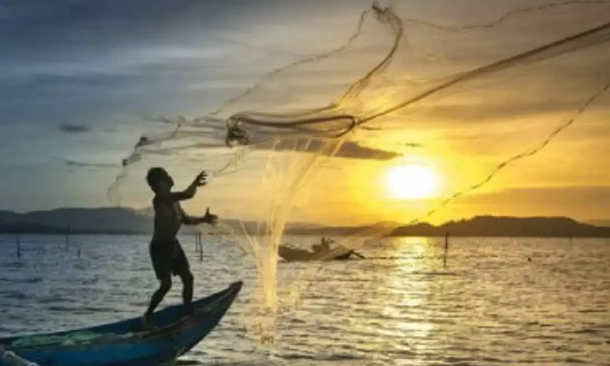 Maha Cabinet okays agri status for fishing