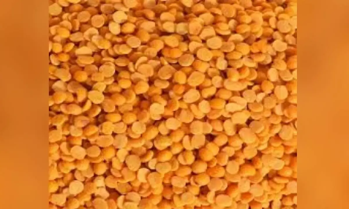 Tur procurement at MSP in full swing in states, over 2.56 lakh farmers benefit