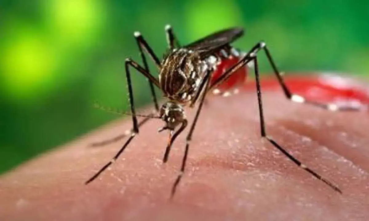 Government Continuously Working Towards Malaria-Free India: Anupriya Patel