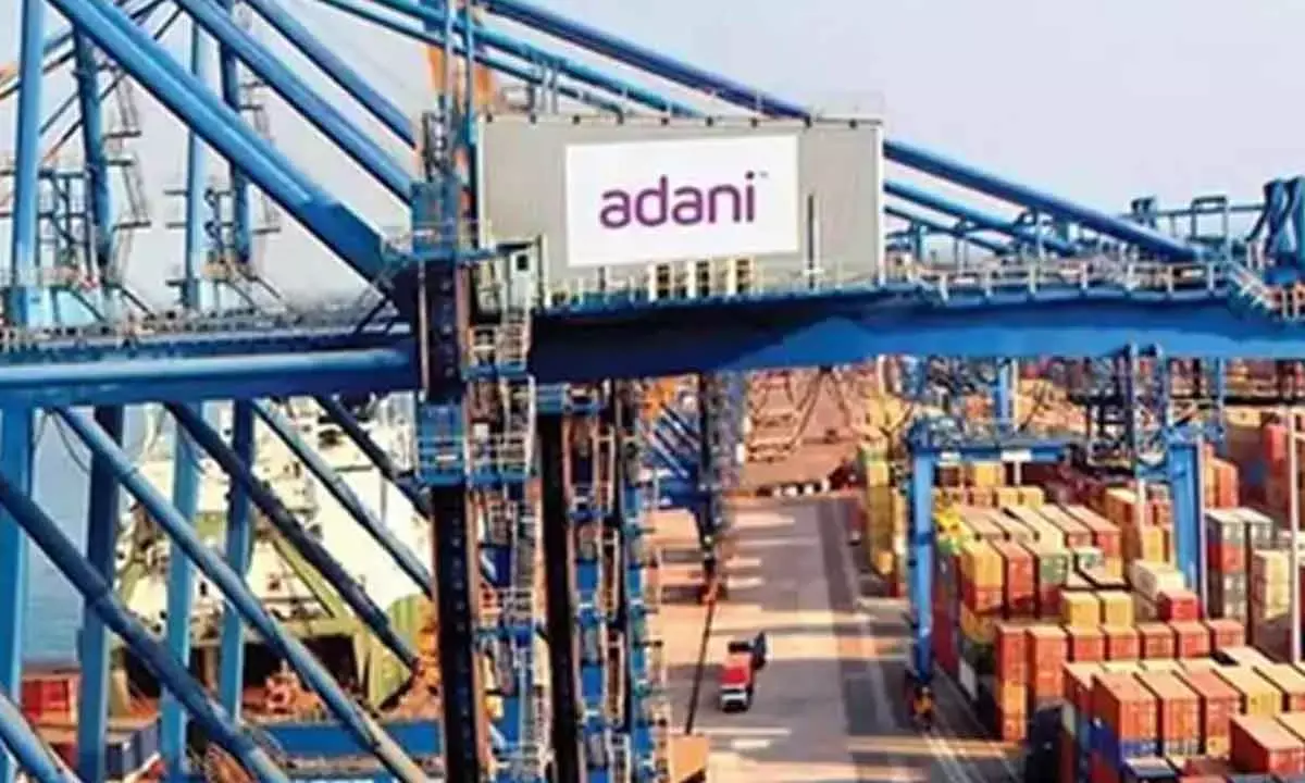 Fitch Ratings Sees Adani Ports Acquisition Of Nqxt As Positive Step For Global Diversification