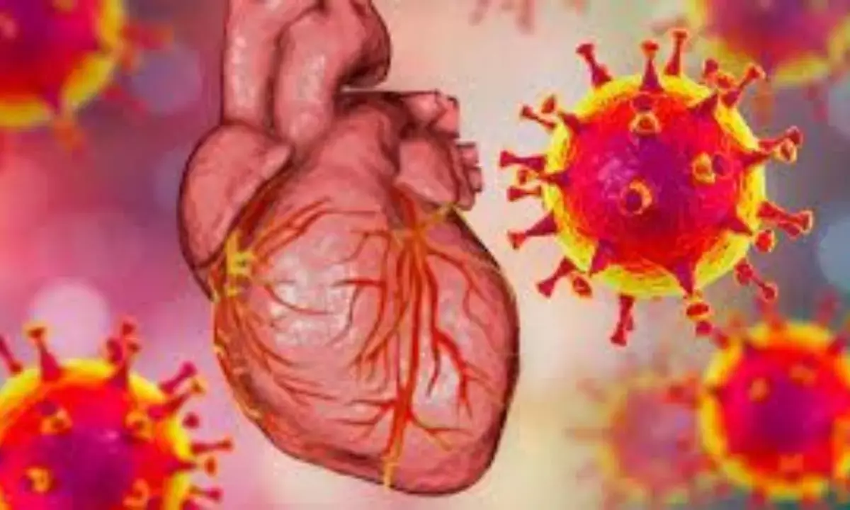 Covid link to heart attacks unravelled