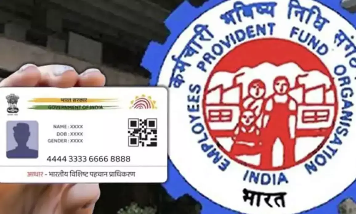 EPFO Reforms: Hassle-free PF transfers now a reality! Big boost for job switchers