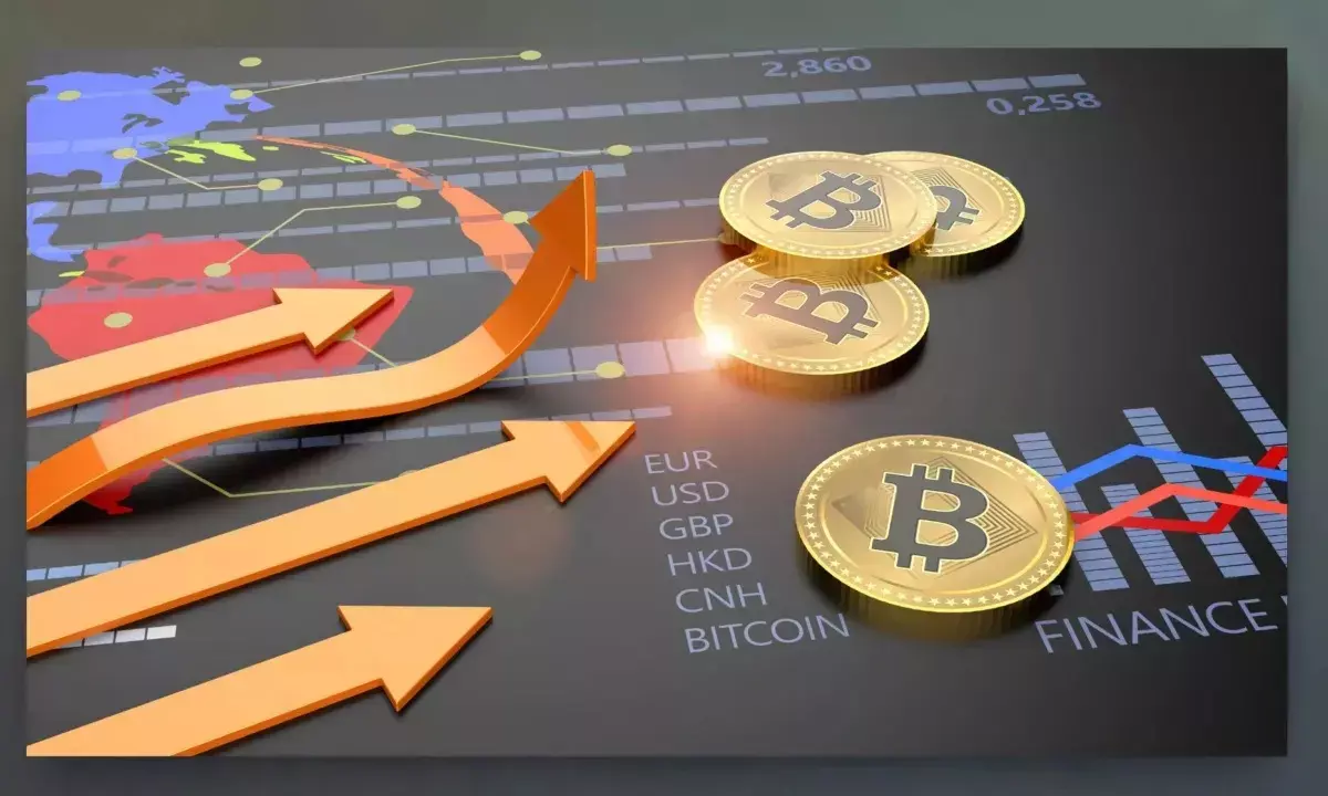 TradeX: The Pro Forex and Crypto Trading with Great Accuracy