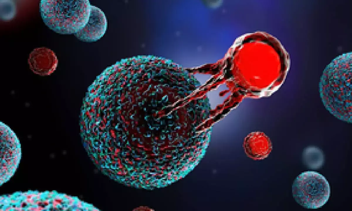 Novel CAR-T therapy shows promise against hard-to-treat cancer