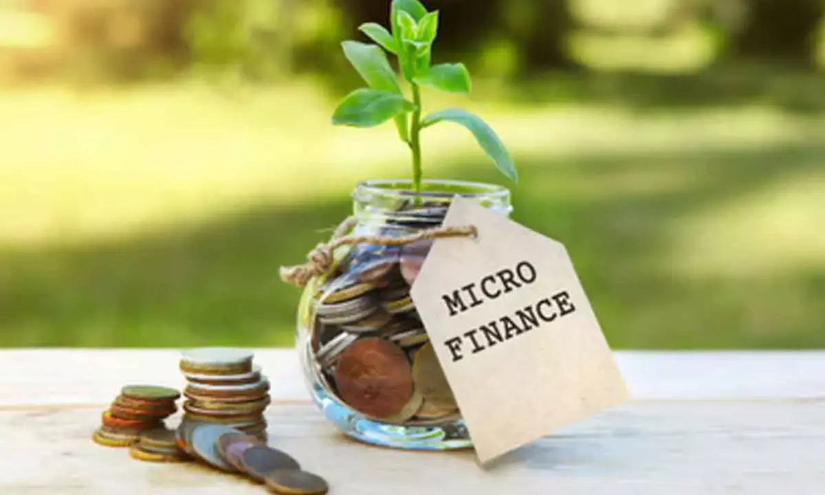 Microfin Projected To Grow 15% In FY26