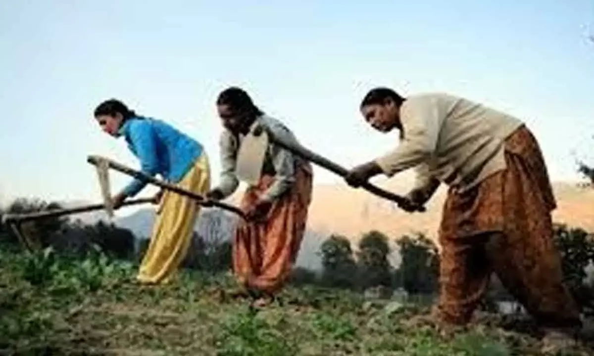 IMD Forecast Augurs Well For Farm Sector