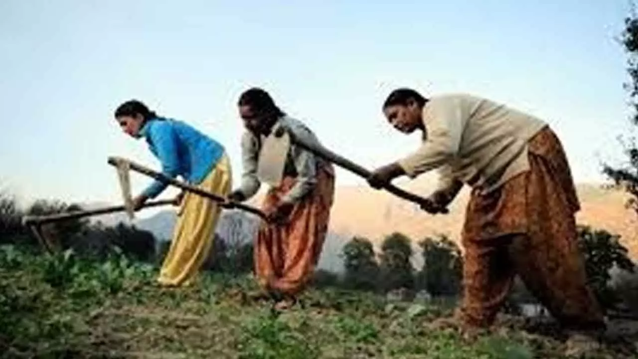 IMD Forecast Augurs Well For Farm Sector IMD Forecast Augurs Well For Farm Sector