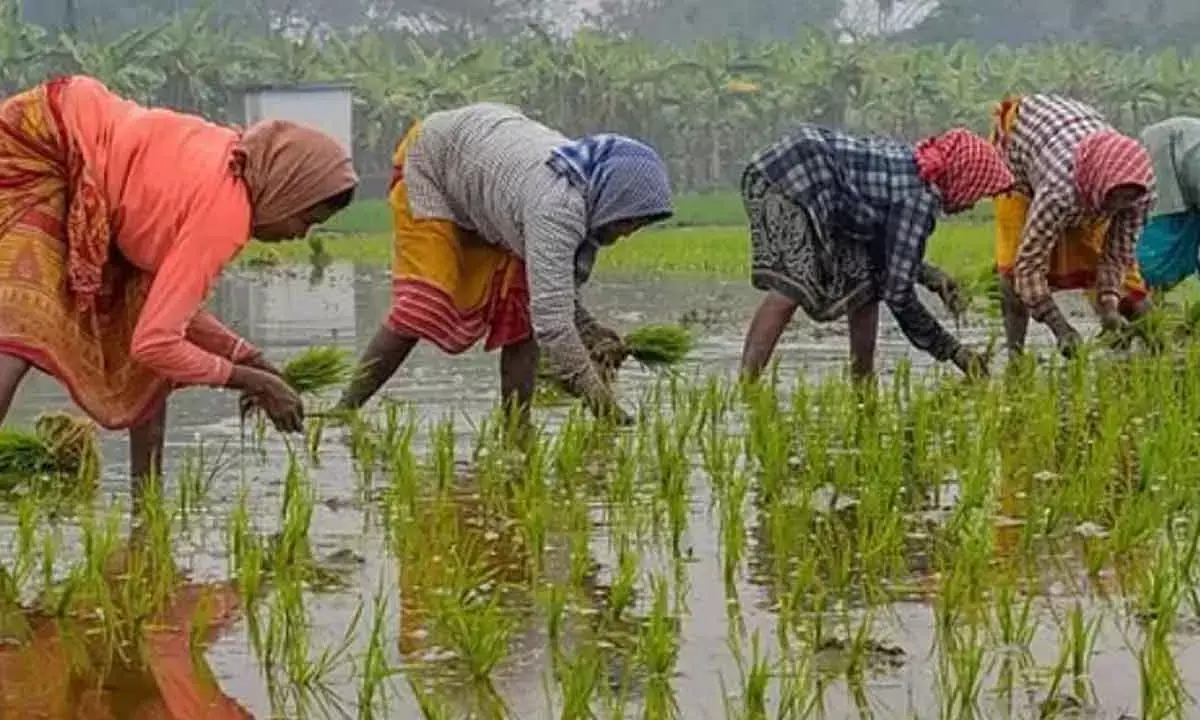 Farm, Rural Workers Get Respite As Inflation Burden Eases In March