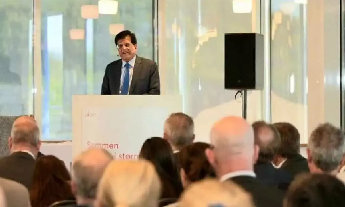 Trust And Growth Will Mark India-Norway Ties: Piyush