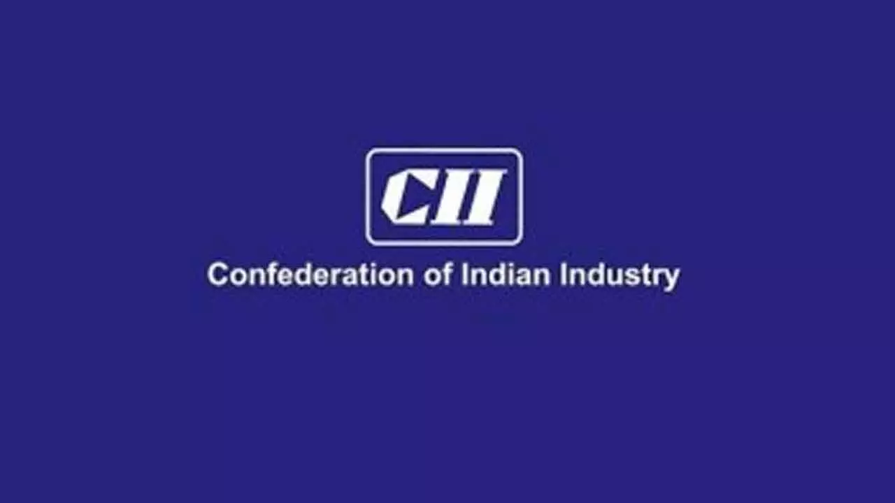 CII Holds Biz Transformation Workshop For Entrepreneurs CII Holds Biz Transformation Workshop For Entrepreneurs