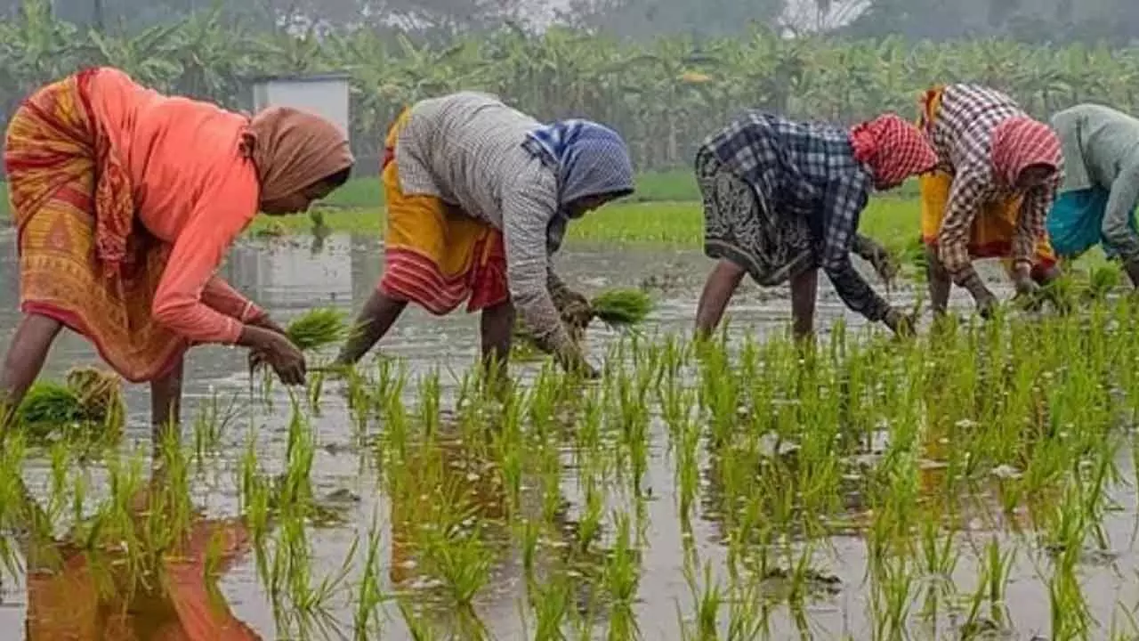 Farm, Rural Workers Get Respite As Inflation Burden Eases In March