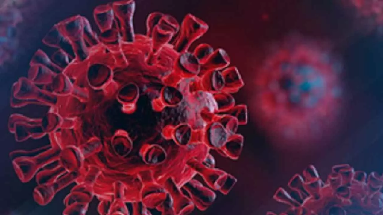 Study Finds Long Covid Biomarkers In Blood Linked To Respiratory Problems Study Finds Long Covid Biomarkers In Blood Linked To Respiratory Problems