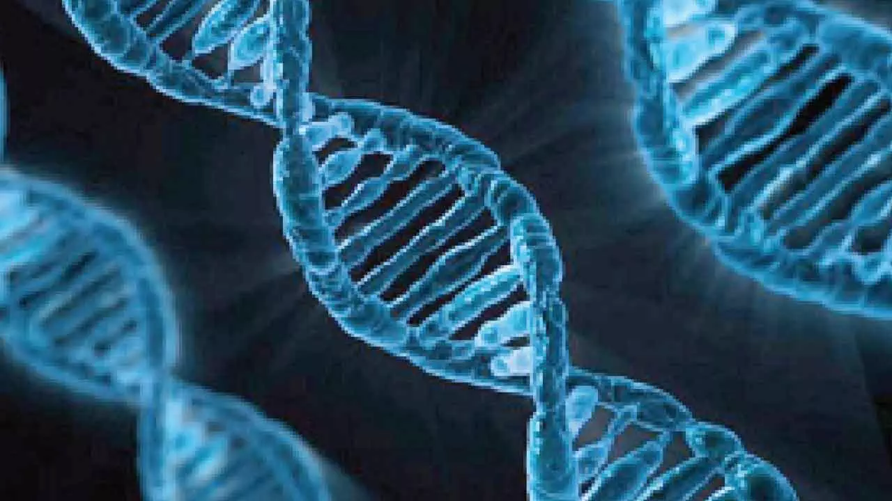 AI To Transform Diagnosis, Cure Of Genetic Diseases AI To Transform Diagnosis, Cure Of Genetic Diseases