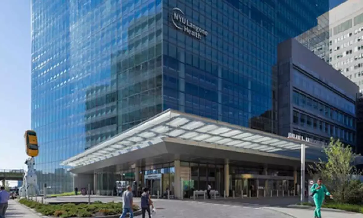 Scientists Find Details Of Process Driving Evolution, Major Diseases