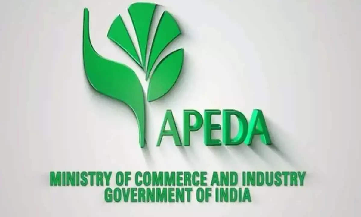 APEDA To Boost Exports Of Agri, Processed Foods
