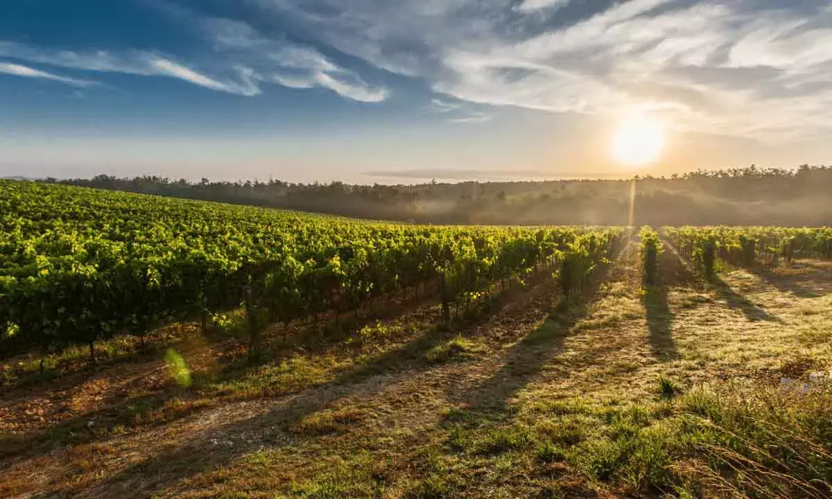 ‘Transformative’ SVAMITVA Scheme In Spotlight At World Bank Land Conclave