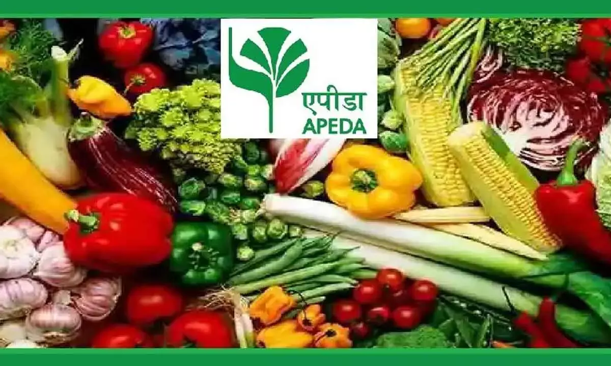 Govt To Ease Logistical Barriers For Agri And Processed Food Products