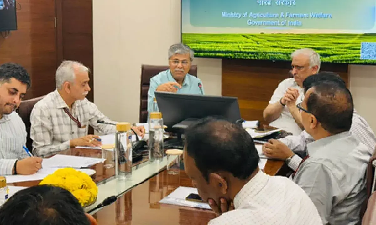 Ayush manufacturing sector grew 8x in last 10 years, huge potential for economy, export: Centre