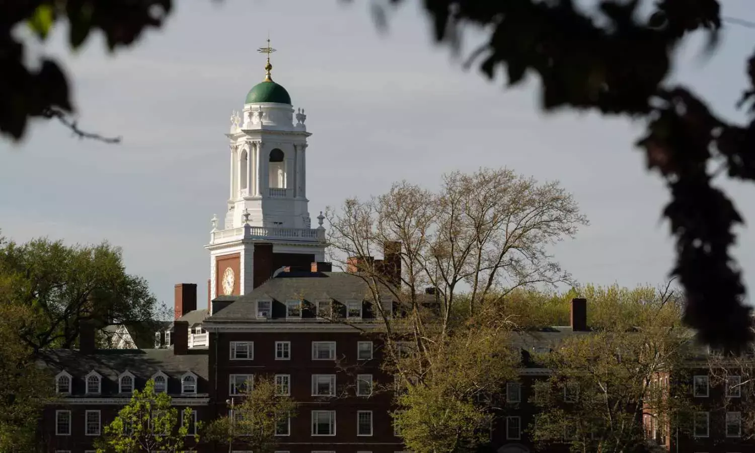 Dear Harvard...: Linda McMahon Cuts Off Research Funding in Blistering Letter