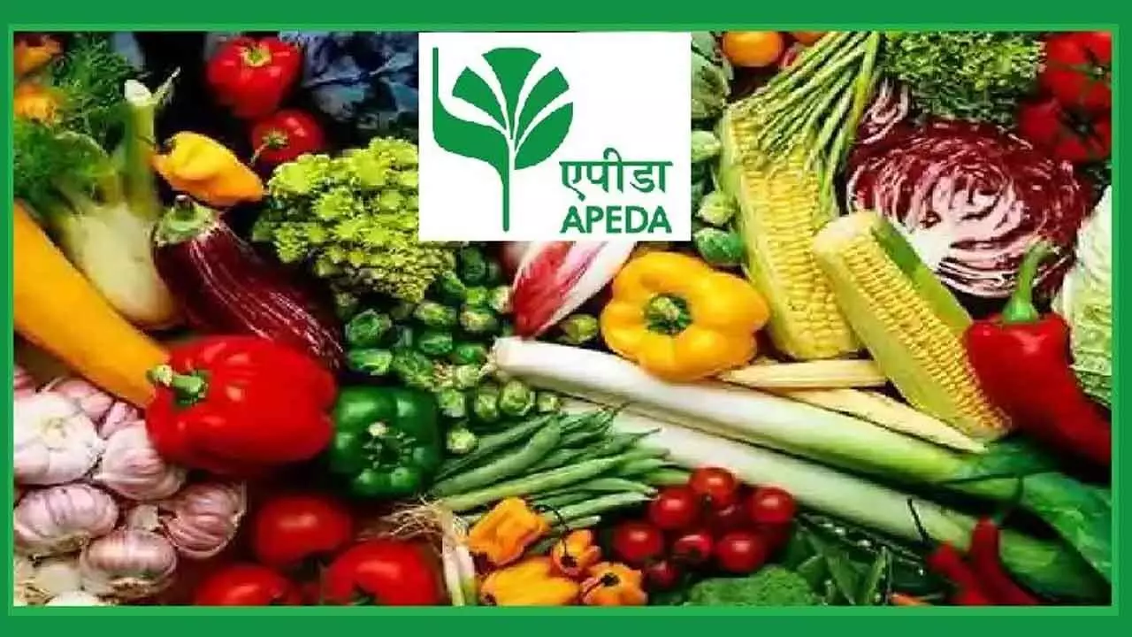 Govt To Ease Logistical Barriers For Agri And Processed Food Products Govt To Ease Logistical Barriers For Agri And Processed Food Products