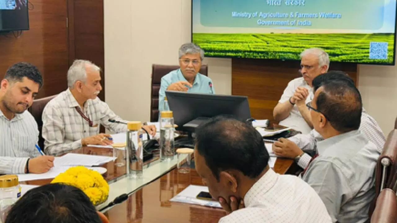 Ayush manufacturing sector grew 8x in last 10 years, huge potential for economy, export: Centre Ayush manufacturing sector grew 8x in last 10 years, huge potential for economy, export: Centre