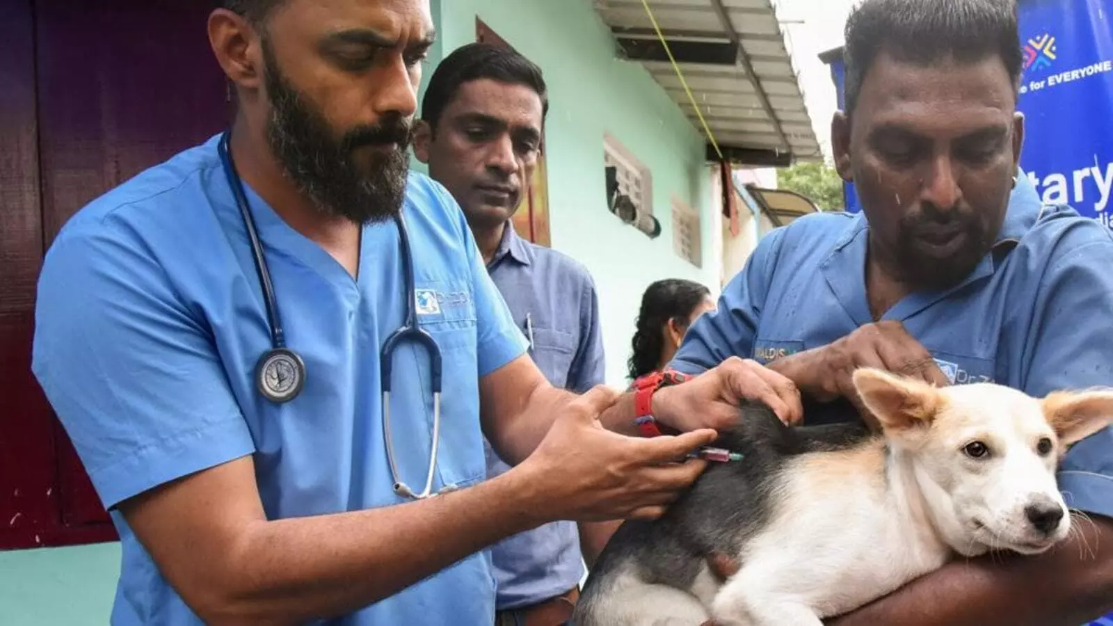 Kerala human rights panel directs setting up medical team to probe rabies deaths Kerala human rights panel directs setting up medical team to probe rabies deaths