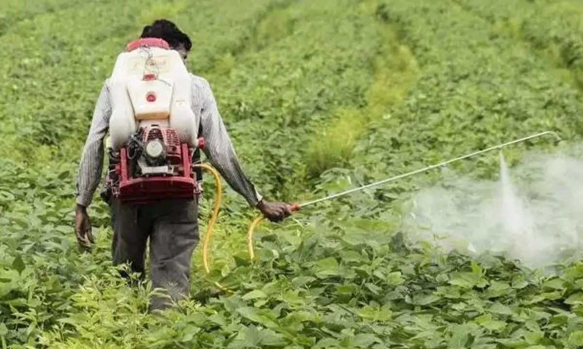 Tropical Agro Launches Insecticide For Paddy Crops