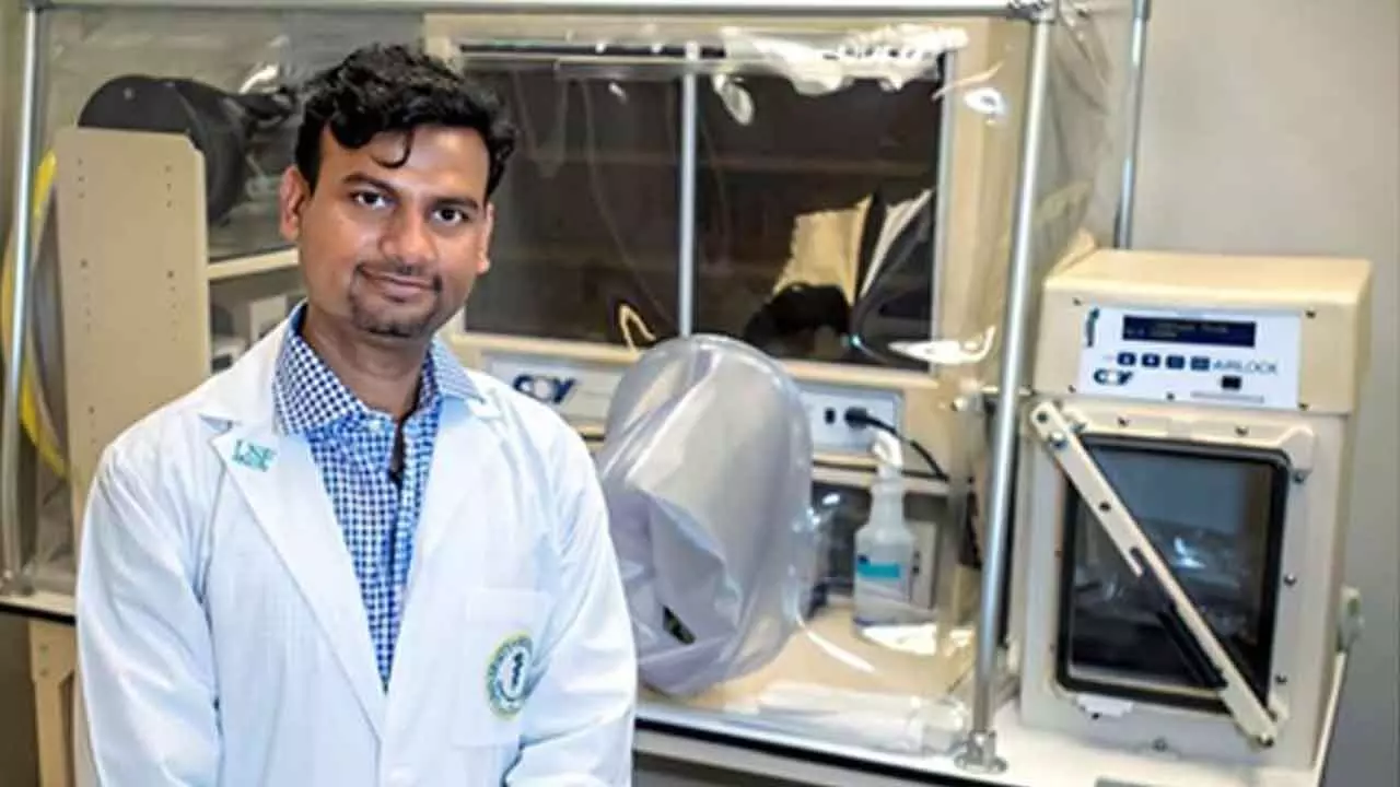 Indian-Origin Researcher Develops Probiotic Cocktail To Fight Dementia Indian-Origin Researcher Develops Probiotic Cocktail To Fight Dementia
