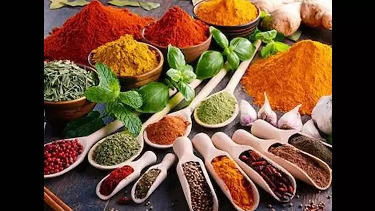 India Spearheading Global Spice Movement India Spearheading Global Spice Movement