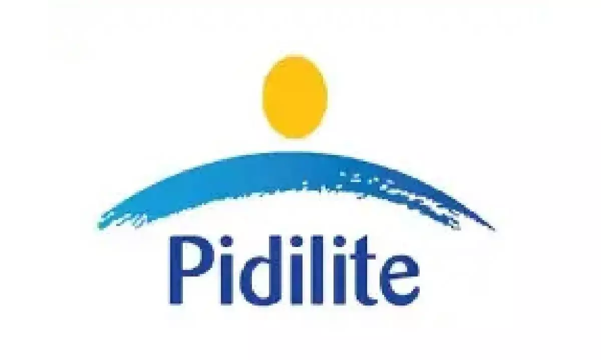 Standalone Double digit UVG in Q4 Standalone Q4 EBITDA Margins at 20.6%