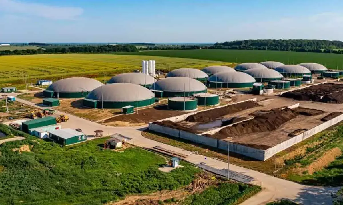 India Needs To Integrate Govt Initiatives Related To Biogas
