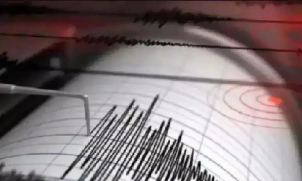 4.6 Magnitude Earthquake Strikes Pakistan, Days After Previous Tremor
