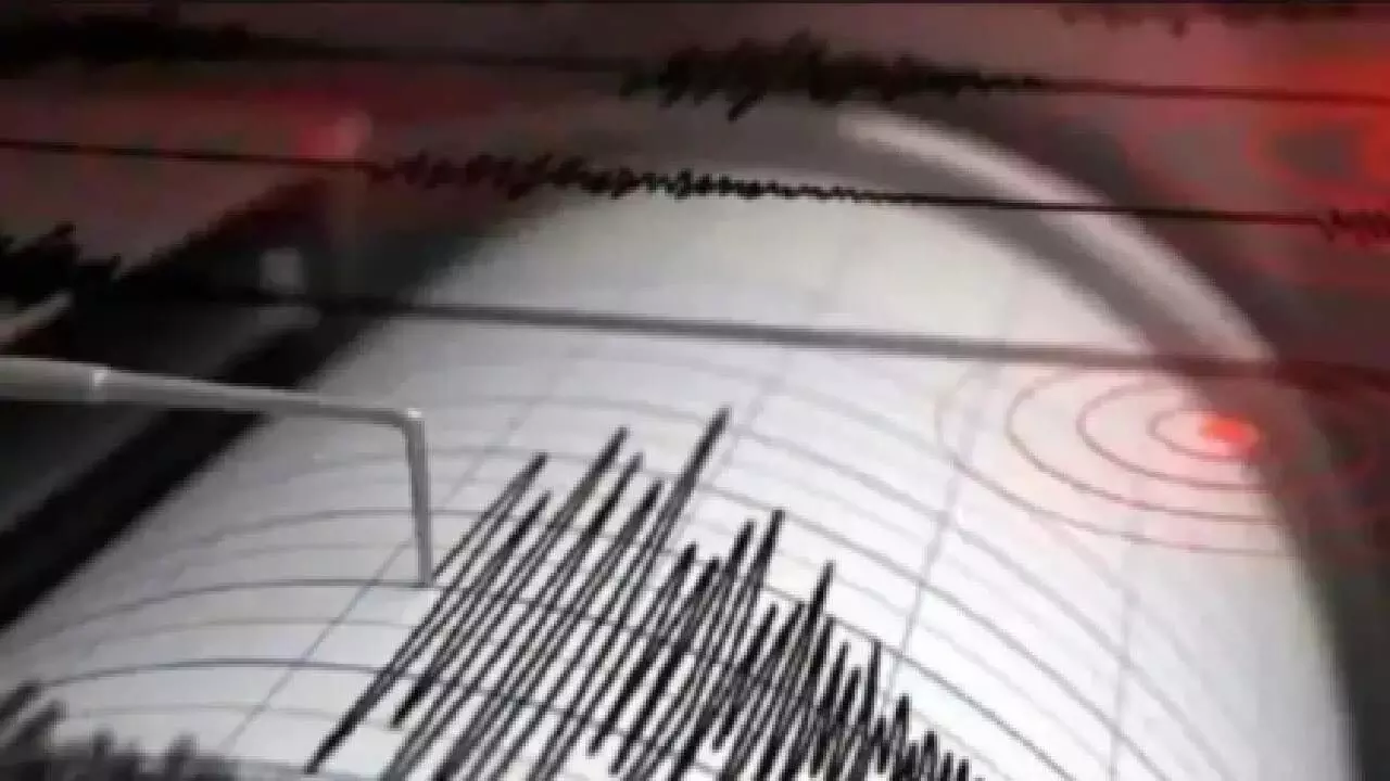 4.6 Magnitude Earthquake Strikes Pakistan, Days After Previous Tremor