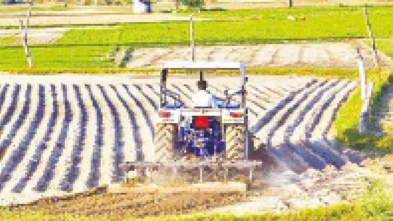 UP To Transform Farm Economy UP To Transform Farm Economy
