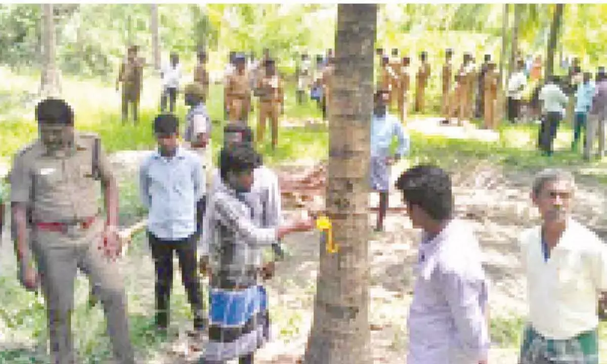 TN Farmers Seek Urgent Help From Govt As Trees Face Axe
