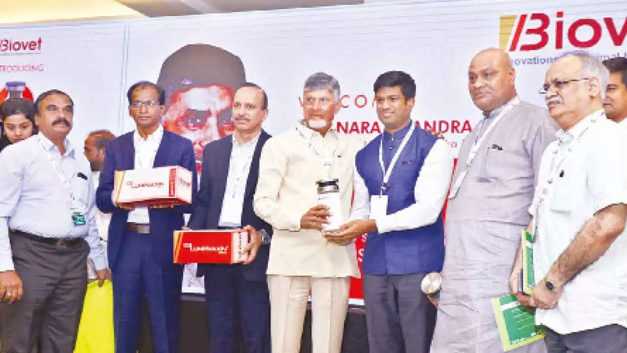Indigenously Developed Vaccine To Combat LSD scare Indigenously Developed Vaccine To Combat LSD scare