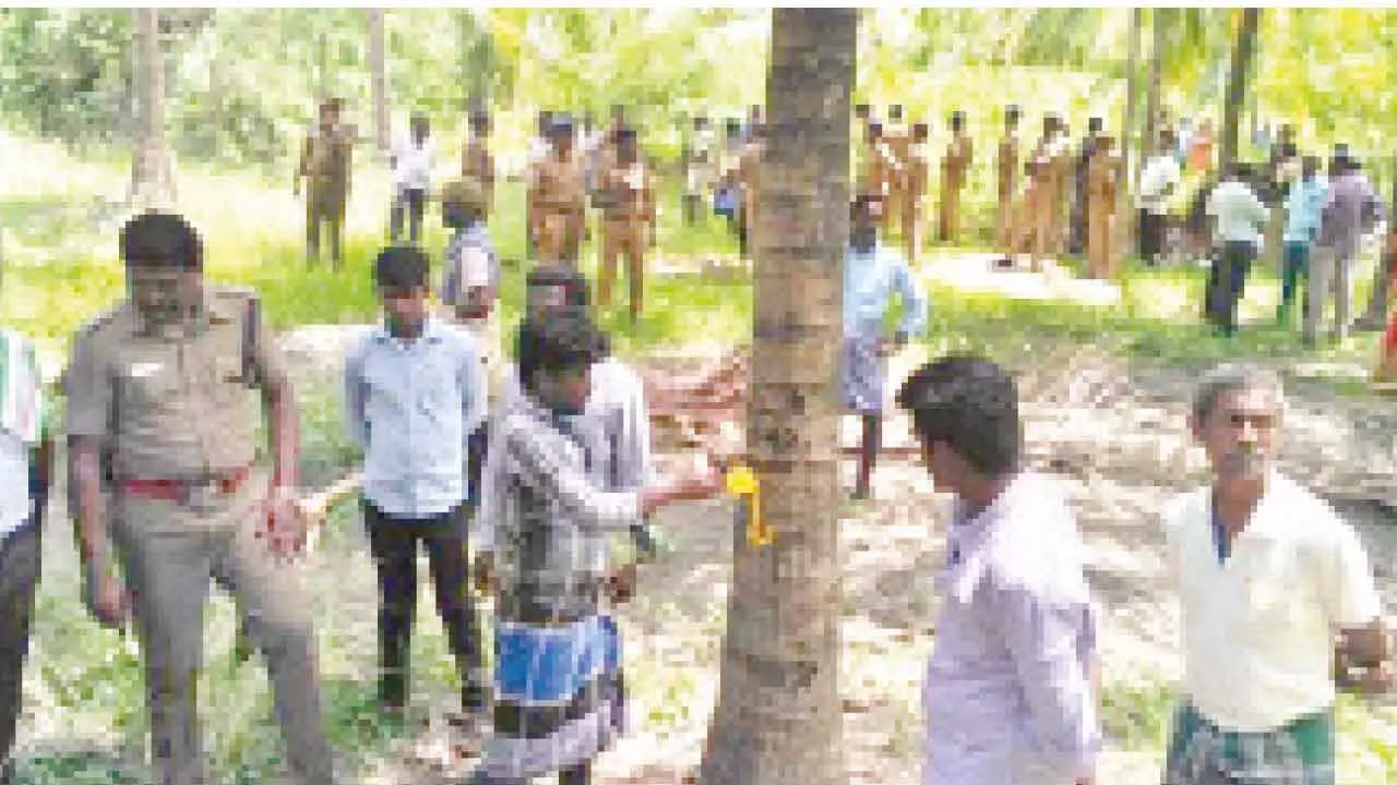 TN Farmers Seek Urgent Help From Govt As Trees Face Axe TN Farmers Seek Urgent Help From Govt As Trees Face Axe