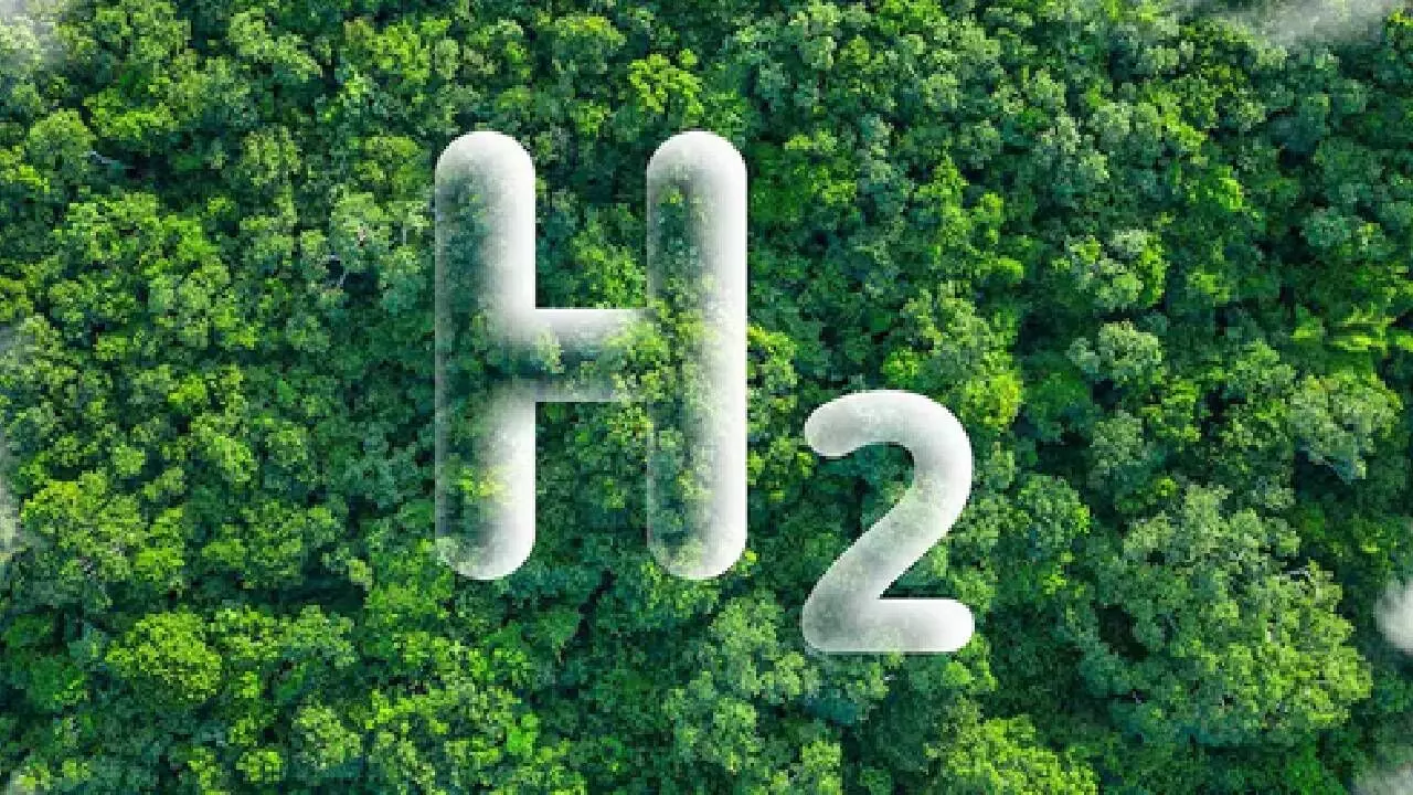 India, EU to find solutions for marine plastic litter, waste to green hydrogen India, EU to find solutions for marine plastic litter, waste to green hydrogen