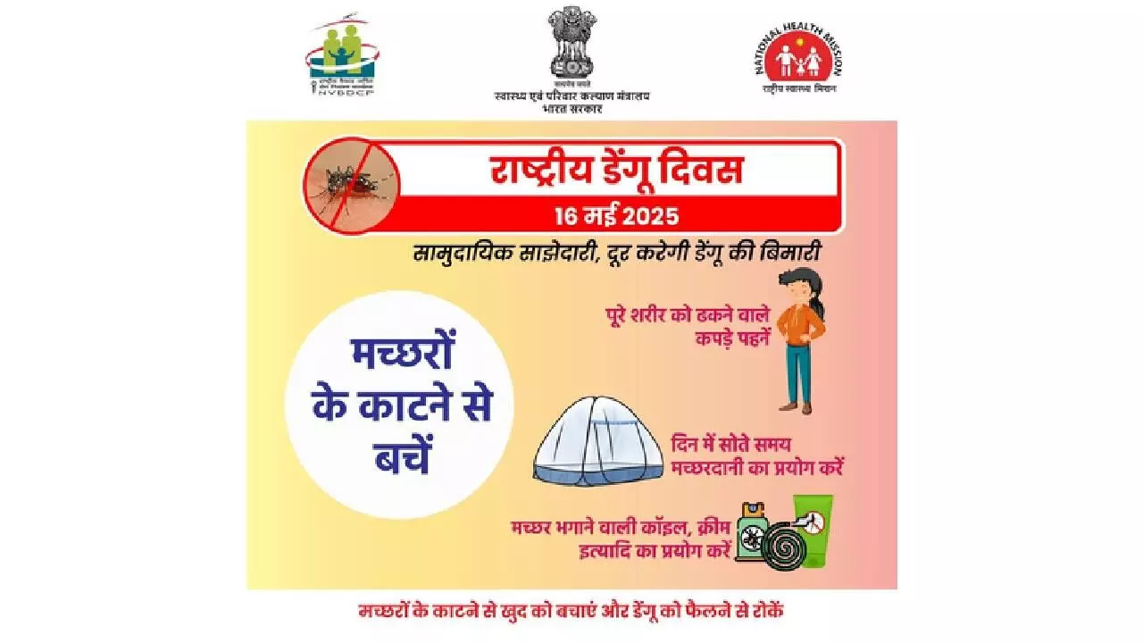 Adopt cleanliness, check mosquito breeding sites to curb spread of dengue Adopt cleanliness, check mosquito breeding sites to curb spread of dengue