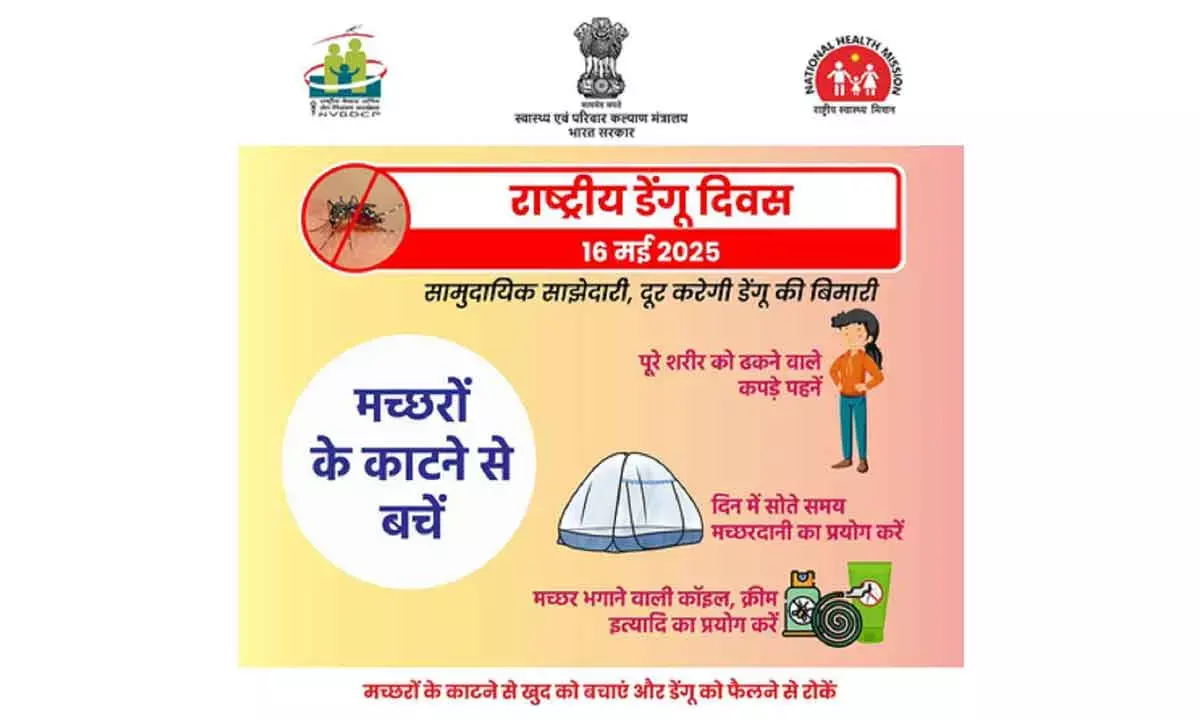 Adopt Cleanliness, Check Mosquito Breeding Sites To Curb Spread Of Dengue