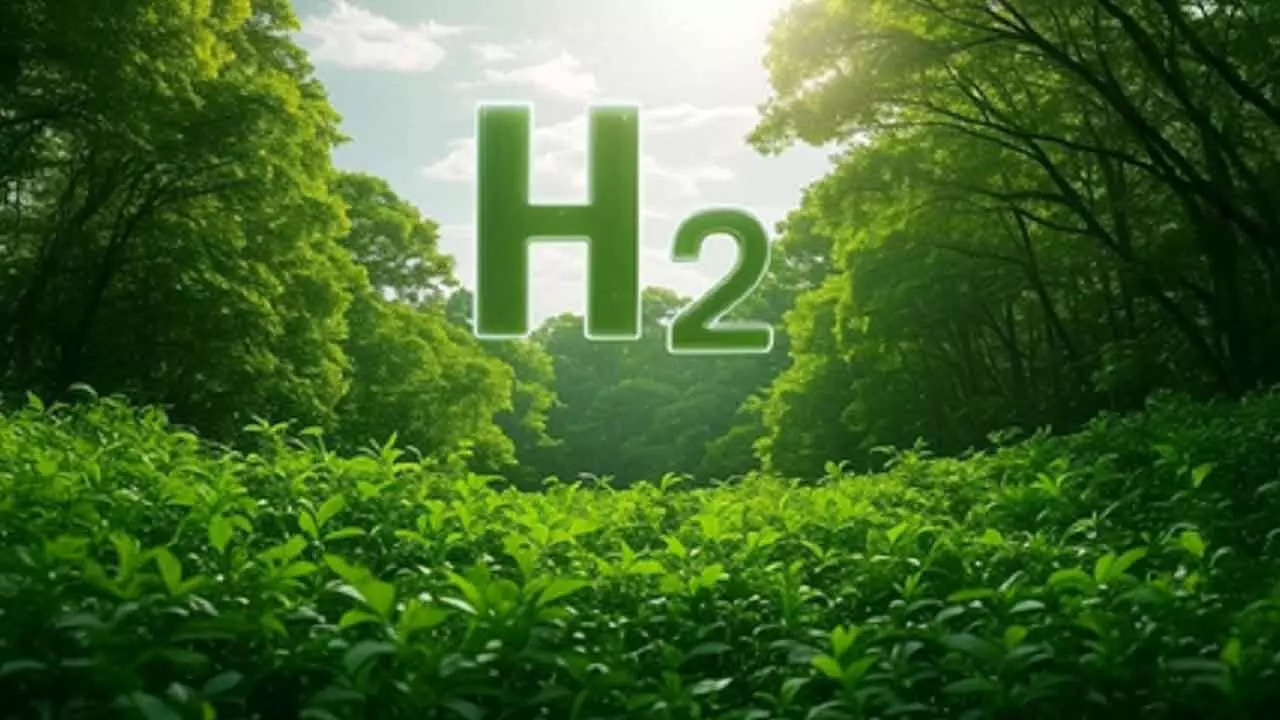 India-EU Launch Research Initiatives on Marine Pollution and Green Hydrogen