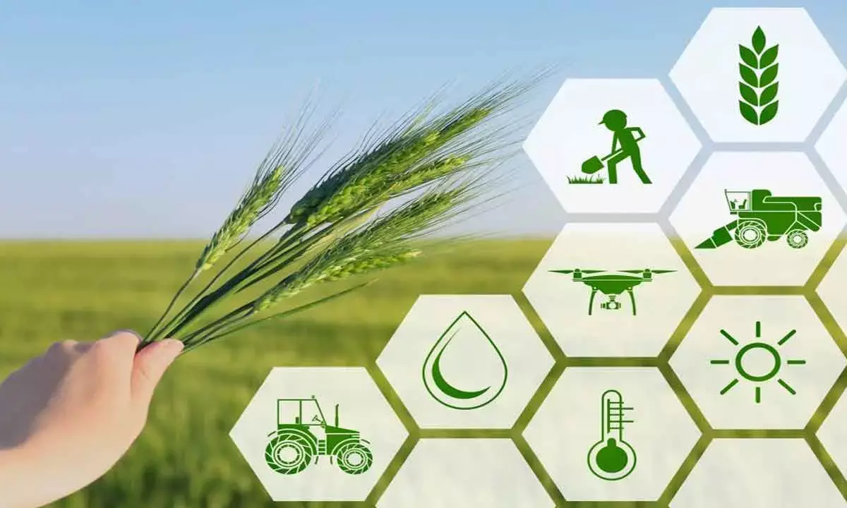 New policy for PACS On Anvil