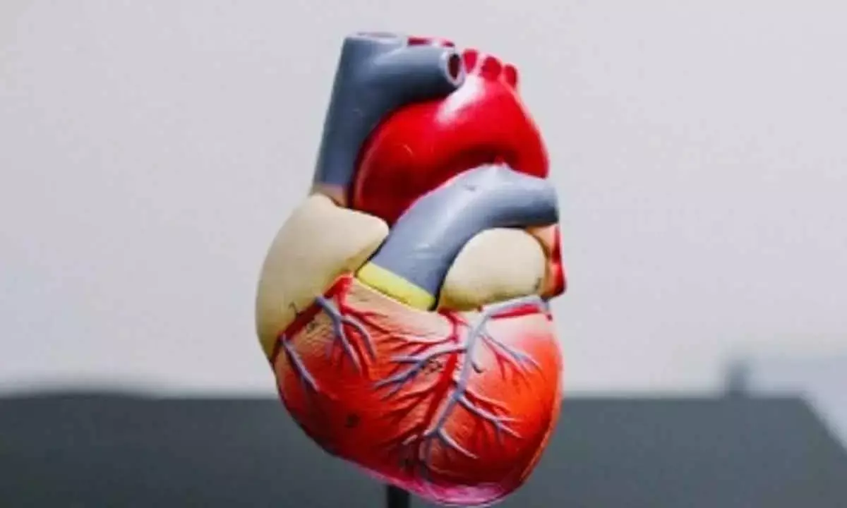 3 out of 5 Heart Patients See Cardiologist At Least Once A Year