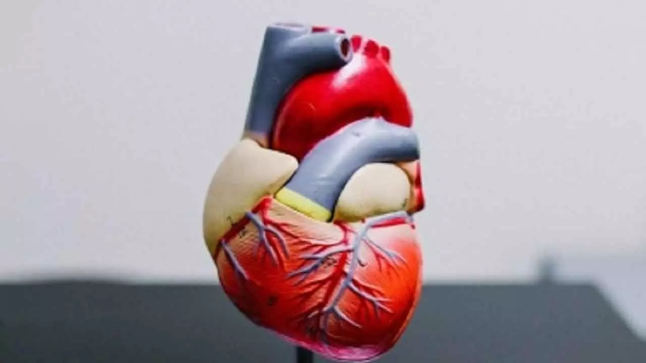 3 out of 5 Heart Patients See Cardiologist At Least Once A Year 3 out of 5 Heart Patients See Cardiologist At Least Once A Year