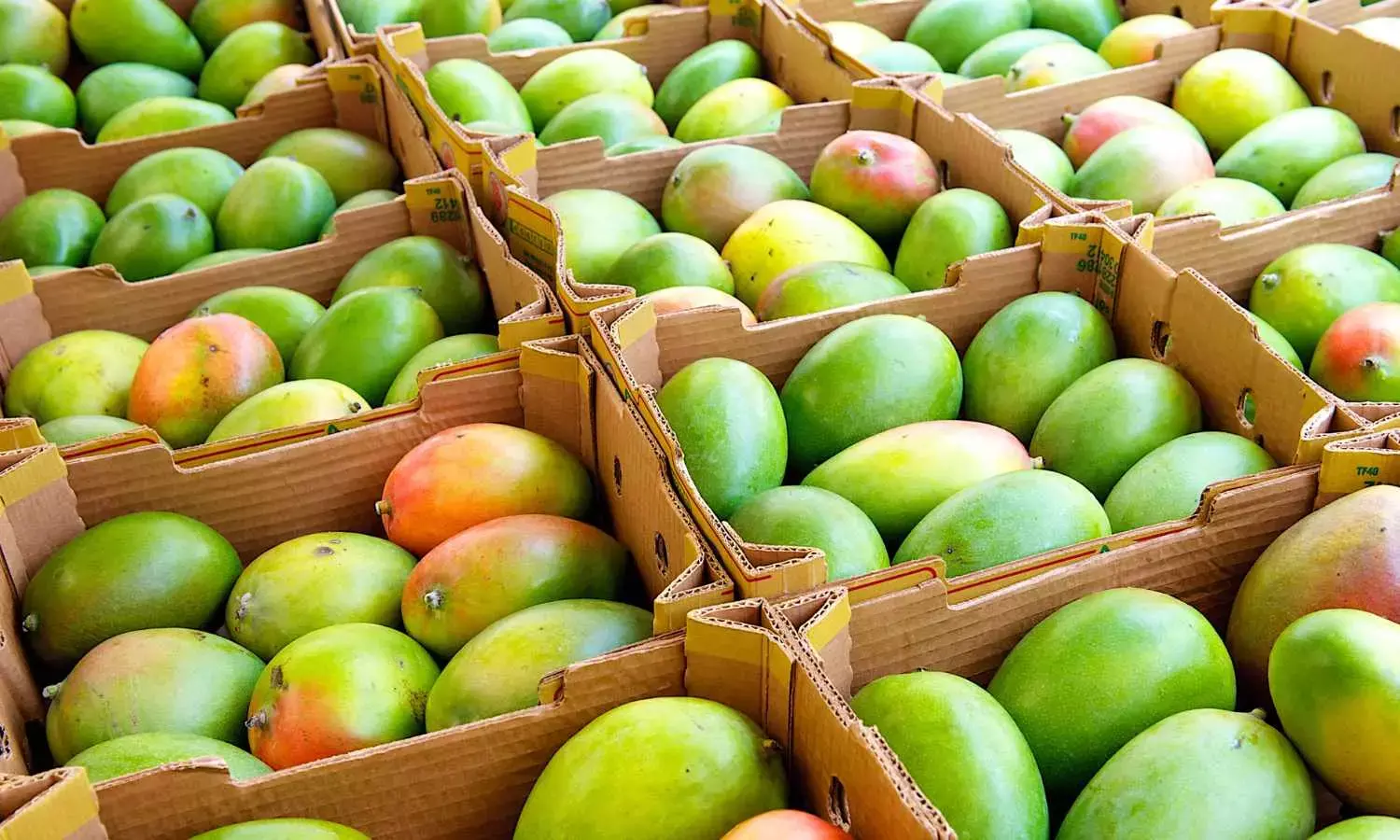 Can Diabetics Eat Mango? What Doctors Say May Surprise You