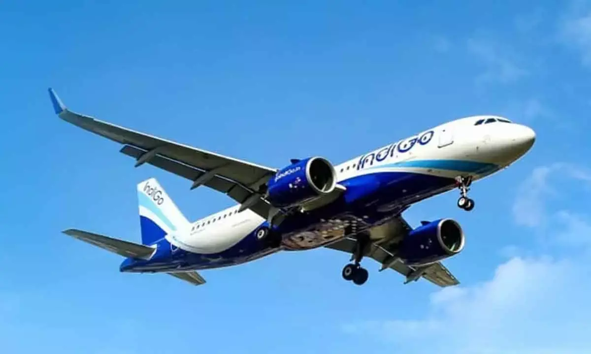 IndiGo-Turkish Airlines Deal Renewal Unlikely