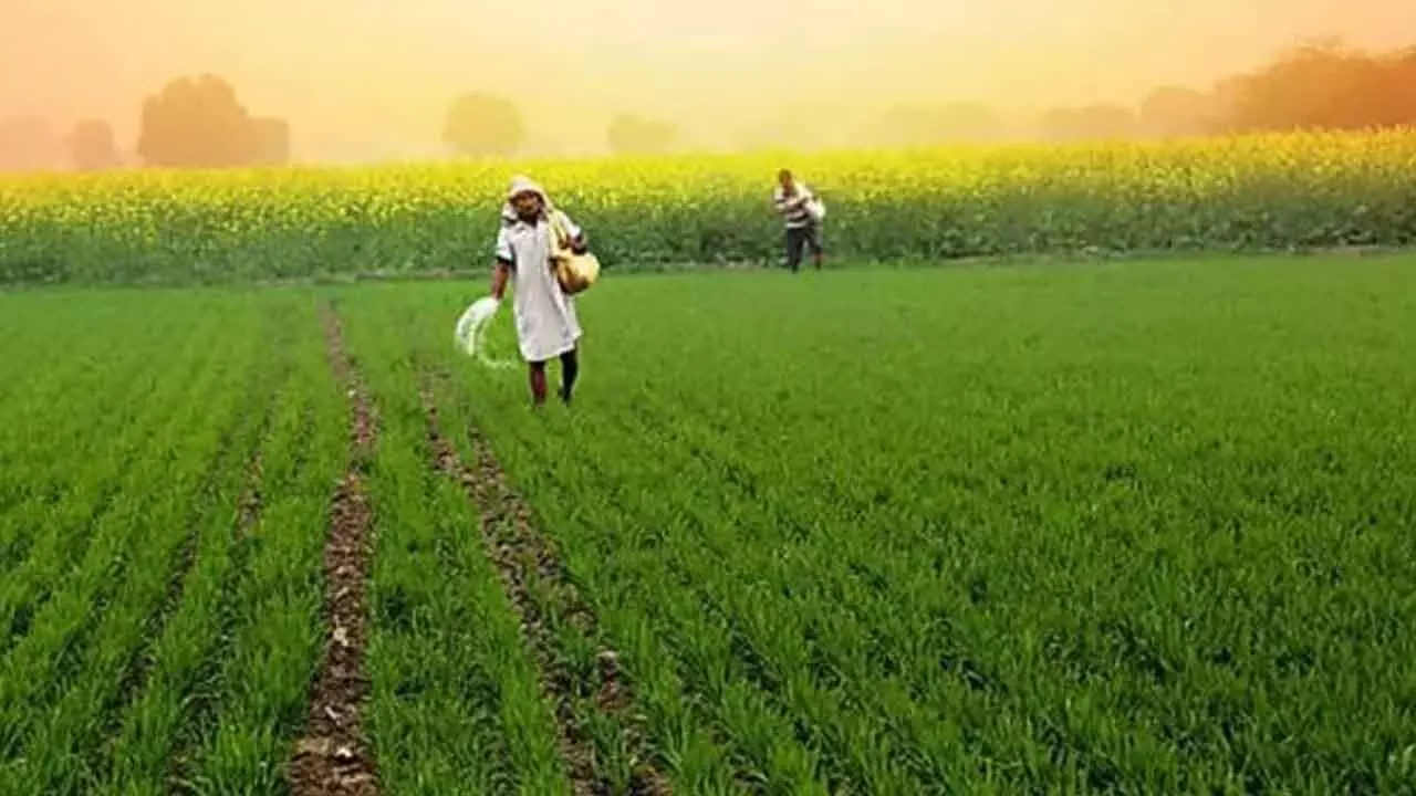 Indias Farm Sector Growth To Hit 3.5% In FY26: Agri Min Indias Farm Sector Growth To Hit 3.5% In FY26: Agri Min