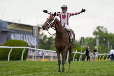 Whats New in Horse Racing in 2025 Whats New in Horse Racing in 2025