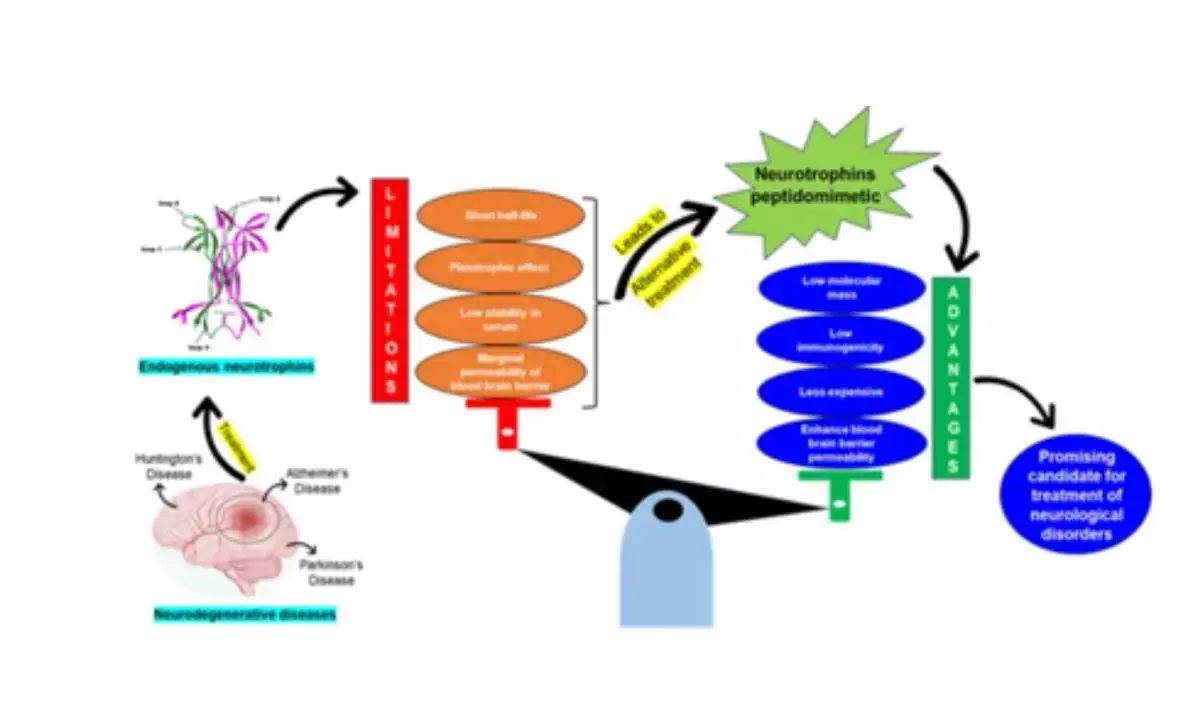 Indian scientists find drugs with potential to treat neurodegenerative disorders